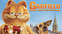 Garfield 2