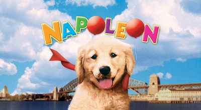 Napoleon - Kis kutya, nagy p�cban