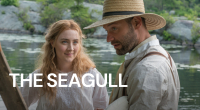 Sirály