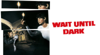 Várj, míg sötét lesz