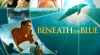 A delfin nyom�ban