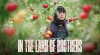 A testv�rek f�ldj�n