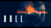 Bull
