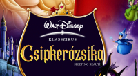 Csipkerzsika