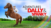 Dally �s Spanky kalandjai