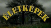 letkpek