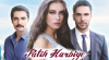 Isztambul k�t arca