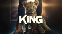 King - Egy kis oroszln nagy kalandja