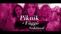 Piknik a Fgg-sziklnl