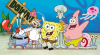 SpongyaBob Kockanadr�g